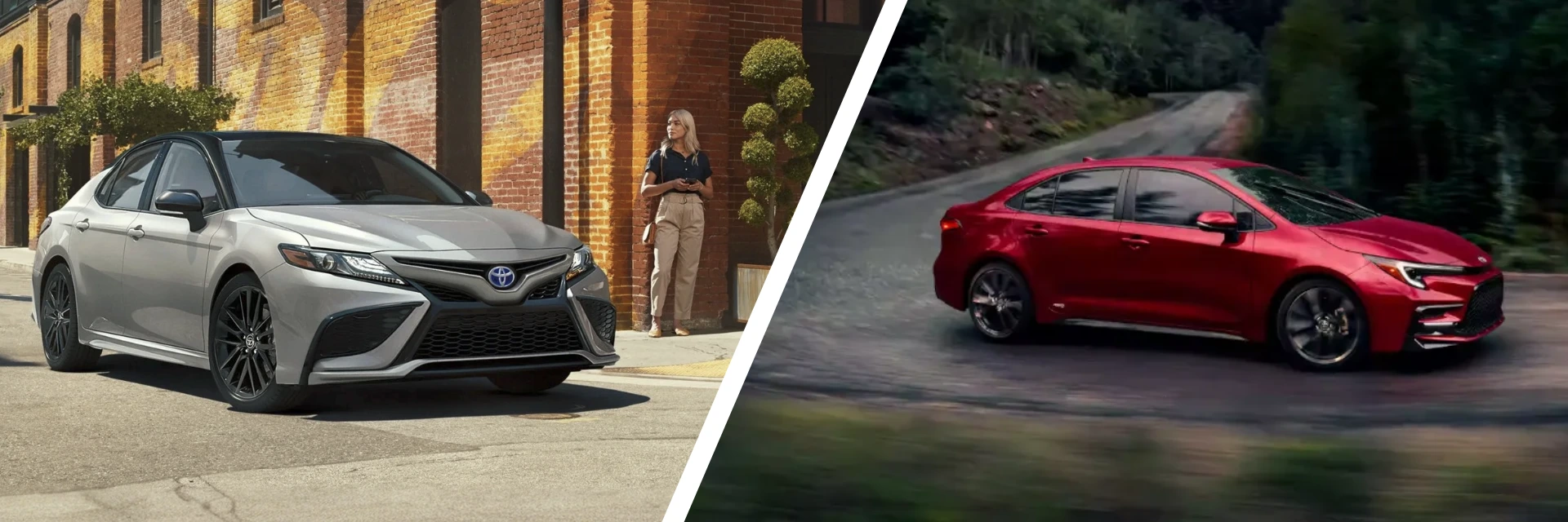 2024 Toyota Camry vs 2024 Toyota Corolla